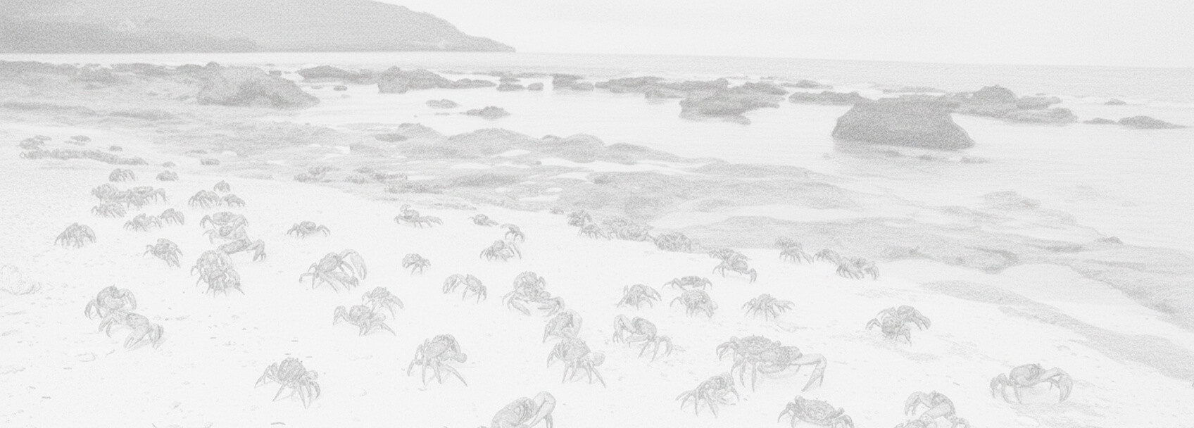 Wyspa Bożego Narodzenia wniosek o wizę i wymagania