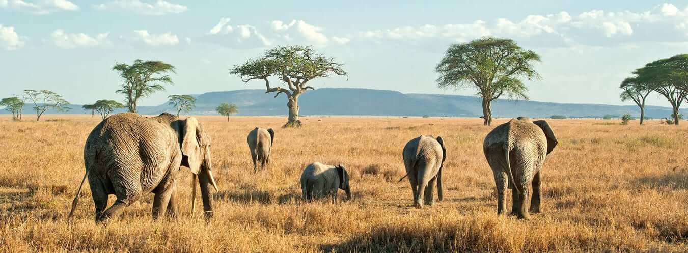 Tanzania wniosek o wizę i wymagania